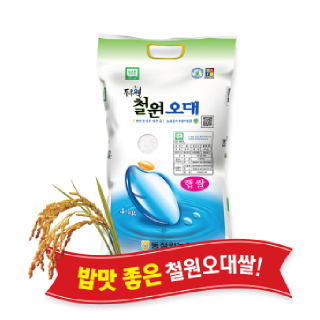 [싱씽배송][당일도정] 2026년산, 동철원농협 철원오대쌀 4kg