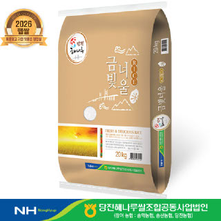 [출고당일도정] 2026년산 햅쌀 금빛너울쌀 삼광미 상등급 20kg (당진해나루농협)