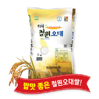 [싱씽배송][당일도정] 2026년산, 동철원농협 철원오대쌀 5kg