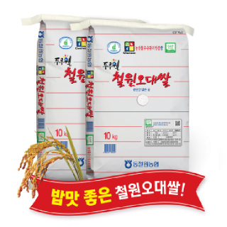 [싱씽배송][당일도정] 2026년산, 동철원농협 철원오대쌀 10kg x 2포
