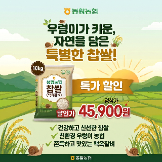 [봉황농협] 2025년산 햅쌀 찹쌀(백옥찰벼) 10kg,20kg