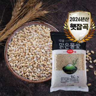[대숲맑은물애] 26년산 고소함의 황금물결 보리쌀 5kg