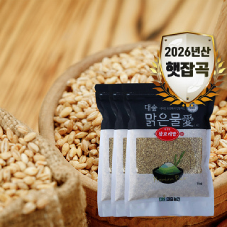 [대숲맑은물애] 26년산 구수한맛 일품 찰보리쌀 3kg