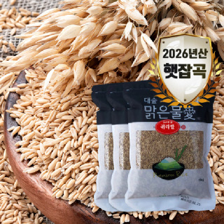[대숲맑은물애] 26년산 영양곡물 알갱이 고소한맛 귀리쌀 3kg