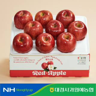 [대경사과농협]경북 햇사과 2.5kg 중과/중소과