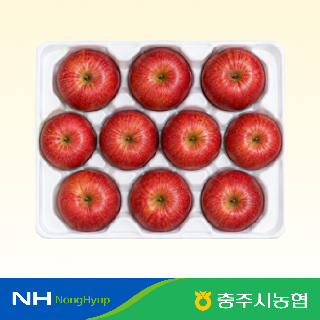 ★물가안정★[충주시농협]충주 햇사과 정품 홍로 3kg(10과내)