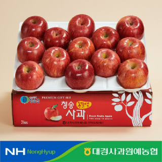 (농할20%)[대경사과농협] 청송사과 햇 홍로 아리수 3kg 정품/가정용