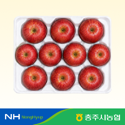 ★물가안정★[충주시농협]충주 햇사과 정품 홍로 3kg(10과내)