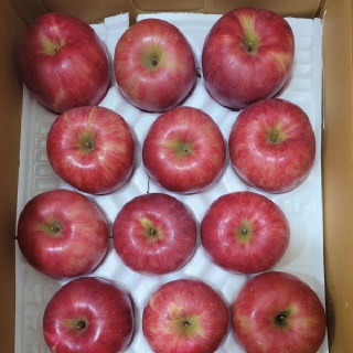 문경사과 홍로 꿀사과 5kg