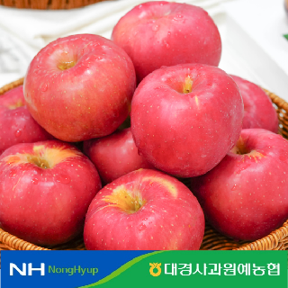 [대경사과원예농협] 햇사과 홍로 아리수 5kg 16과내 정품