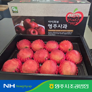 [영주시조공법인] 홍로사과 3.3kg 정품(12과,10과)
