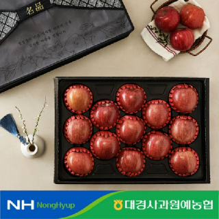 [대경사과원예농협] 청송사과 선물세트 4.2kg 13과 대과[발송일지정] 