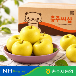 [충주시농협]충주 시나노골드 사과 정품 3kg(14입내)