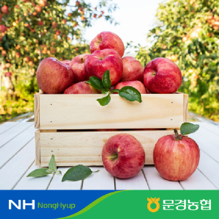 [문경농협] 26년 문경 햇 감홍사과 3kg 12내 정품/가정용