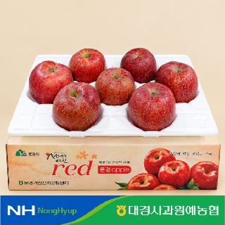 [대경사과농협] 문경 고당도 감홍사과 3kg 정품/가정용