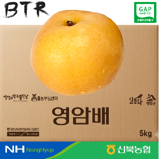 [물가안정][신북농협 Peak!]★26년 氣영암 정품 GAP 신고배 5kg 6-8과 제수용