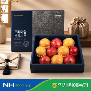[상생쿠폰][익산원예농협] 과일 혼합 프리미엄 명절 선물 세트 특 6kg 사과5과 배5과