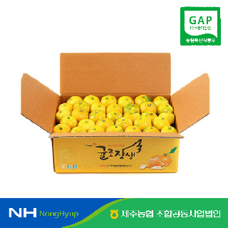 [제주농협] 노지감귤 4.5kg 로얄과 #GAP