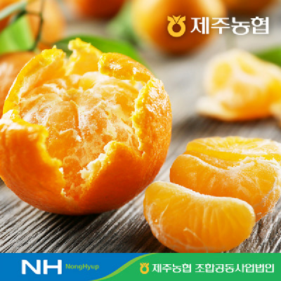 [제주농협] 노지감귤 4.5kg 로얄과 #GAP