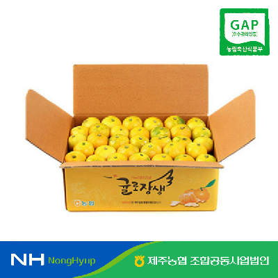 [제주농협] 노지감귤 4.5kg 로얄과 #GAP