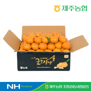[농카+농할17,650원][제주농협]12birx 고당 하우스감귤 2.5kg 로얄과