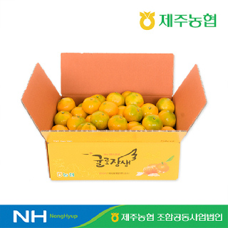★2kg+2kg, 4kg증정이벤트★[제주농협]하우스감귤 2kg 로얄과 #GAP
