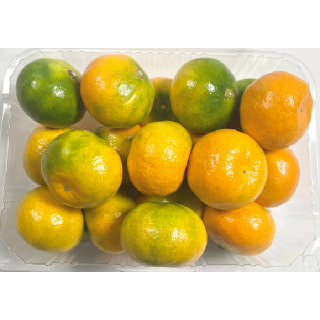 [바로바로팜]하우스감귤 1.2kg