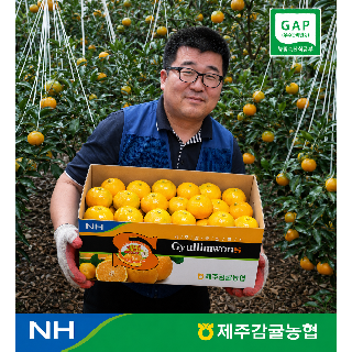 [제주감귤농협] 하우스감귤 가정용 2.5kg 소과 (0,1번)