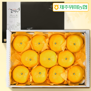[농할x농카][제주위미농협] 당도선별 로얄과 황금향 3kg[지정일출고] 