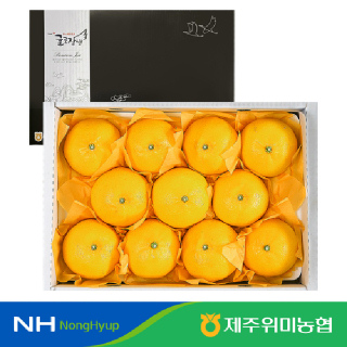 [제주위미농협] 당도선별 로얄과 황금향 3kg
