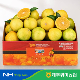 [제주위미농협] 제주 황금향 당도선별 벌크형 3kg(18-24개입)