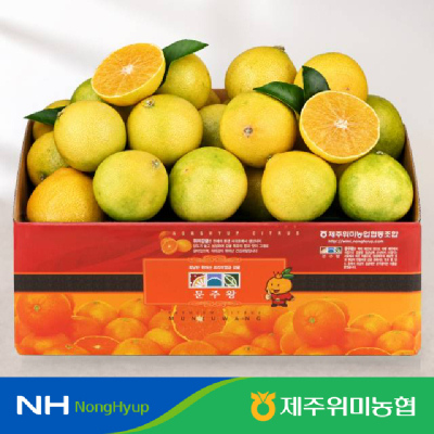 [제주위미농협] 제주 황금향 당도선별 벌크형 3kg(18-24개입)