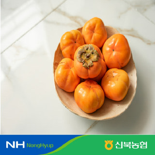 [신북농협 Peak!] ★26년산 햇 氣영암 황토 차량단감 10월 20일~ 순차발송!!  