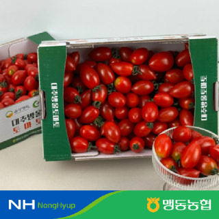 [농할가9,870원]맹동농협 다올찬 대추방울토마토 2kg 중대과 #꼭지제거
