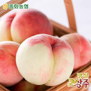 [농할16,400원][중화농협]명실상주 복숭아 3kg(중대과/11-13과)/아삭이