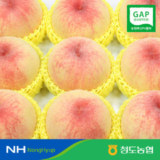 [농할쿠폰][청도농협] 황소고을 아삭한 복숭아 3kg #GAP인증