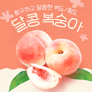 [달콩복숭아] 달콤 백도/황도 복숭아 4kg