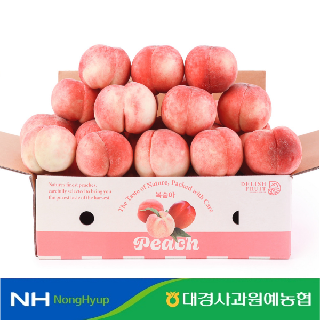 (농할)[대경사과농협] GAP영천 딱딱이 복숭아 2kg 구성