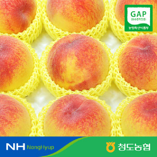 [농할쿠폰][청도농협] 황소고을 황도 복숭아 3kg #GAP인증