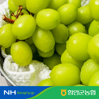 [함안군농협] 고당도 샤인머스켓 2kg(16brix 이상,2~4수)