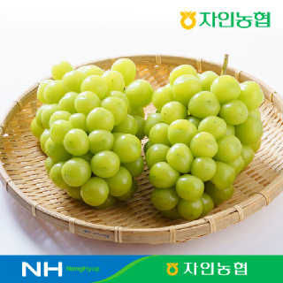[경산자인농협] 고당도 샤인머스켓 1.5kg(2-3수) GAP인증 저탄소인증