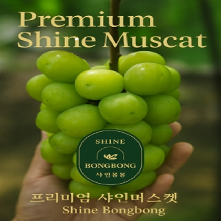 [샤인봉봉]당도선별 샤인머스켓 2kg 4kg #산지직송