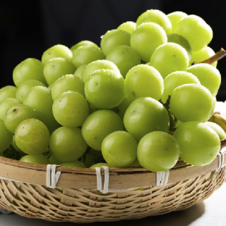 달콤한 샤인머스켓 실중량 4kg
