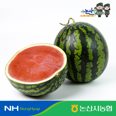 [농할가19,120원][논산시농협]논산 정품 씨 적은 수박 7kg(당도선별 11브릭스이상)
