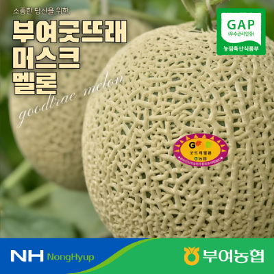 [농할쿠폰][13brix이상] 부여 굿뜨래 멜론 8kg (3,4수)