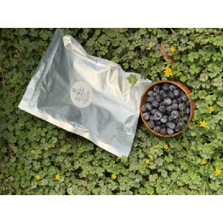[오베리]3대째 이어온 냉동블루베리 1kg(유기전환)