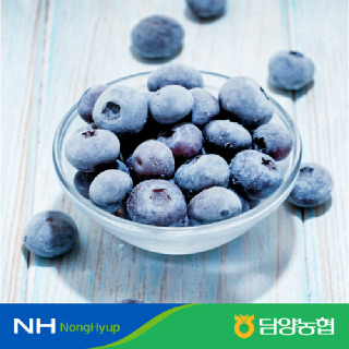 [담양농협]국산 냉동블루베리 1kg / 아이스블루베리 
