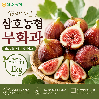 (8/7농할가18,120원)[삼호농협] 영암 무화과 1kg(500g+500g) 산지직송