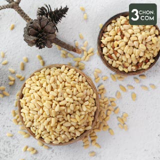 [삼촌밥먹자] 경기도 가평에서 보내드리는 명품 햇 잣(황잣/백잣) 300g/500g