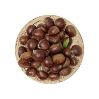 [양재점] 공주 망밤 800g